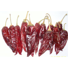 New Crop American Red Chili